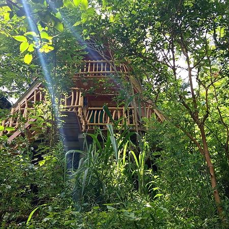 אלה Eco Village מראה חיצוני תמונה