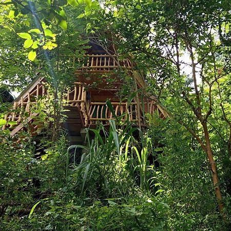 אלה Eco Village מראה חיצוני תמונה