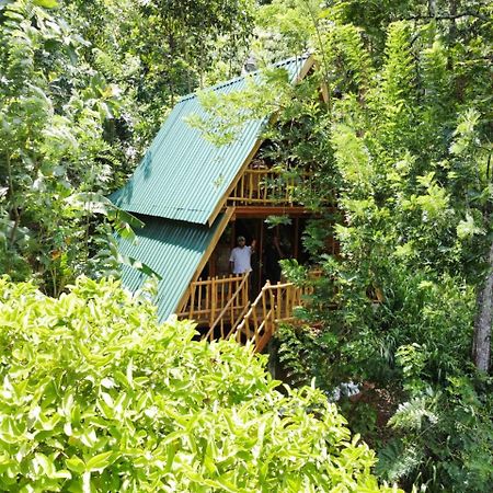 אלה Eco Village מראה חיצוני תמונה