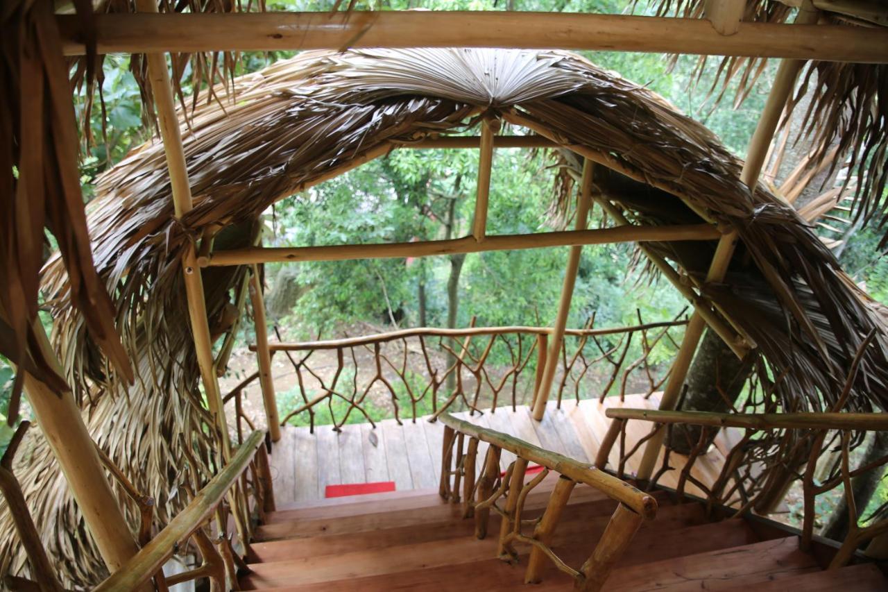 אלה Eco Village מראה חיצוני תמונה
