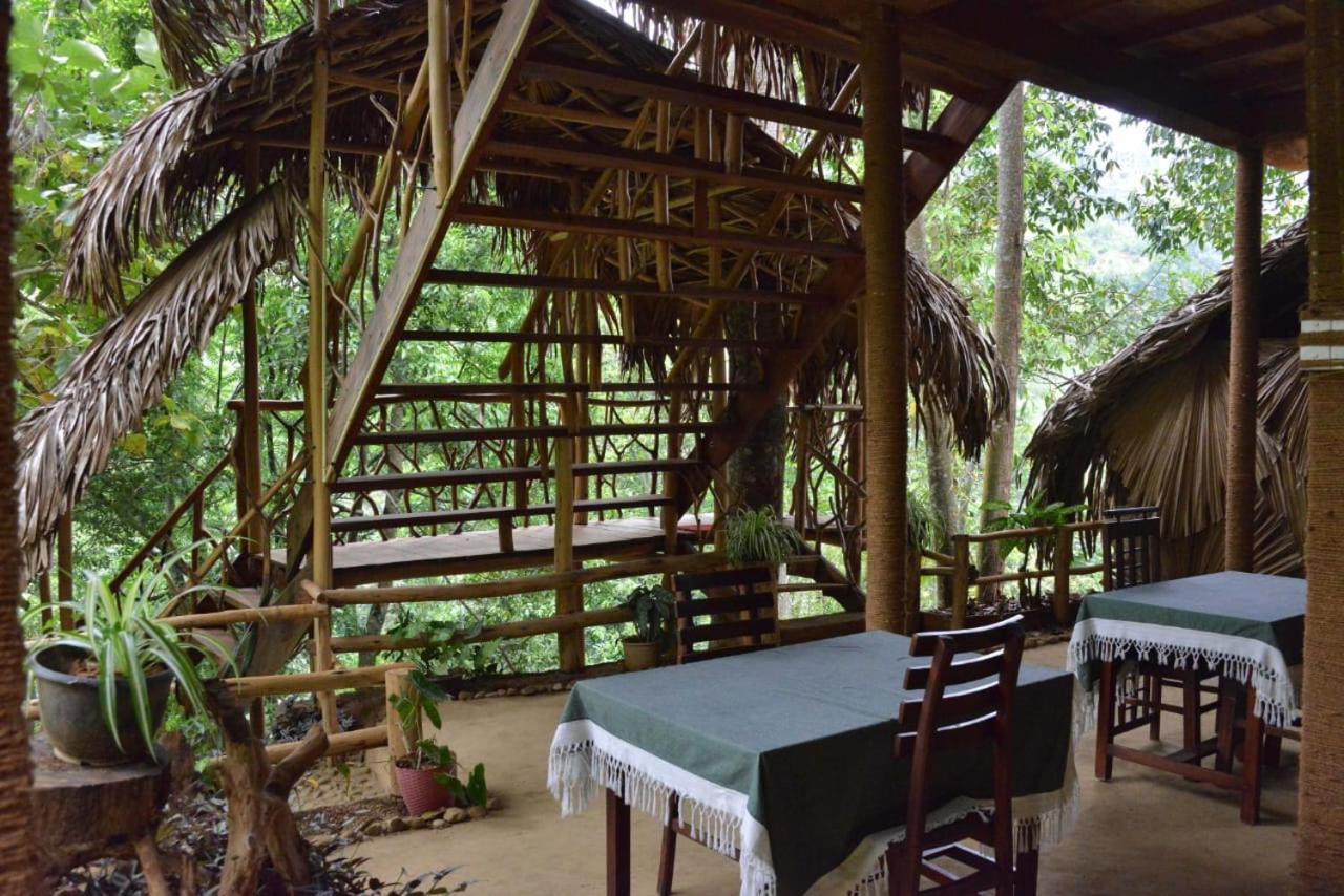 אלה Eco Village מראה חיצוני תמונה