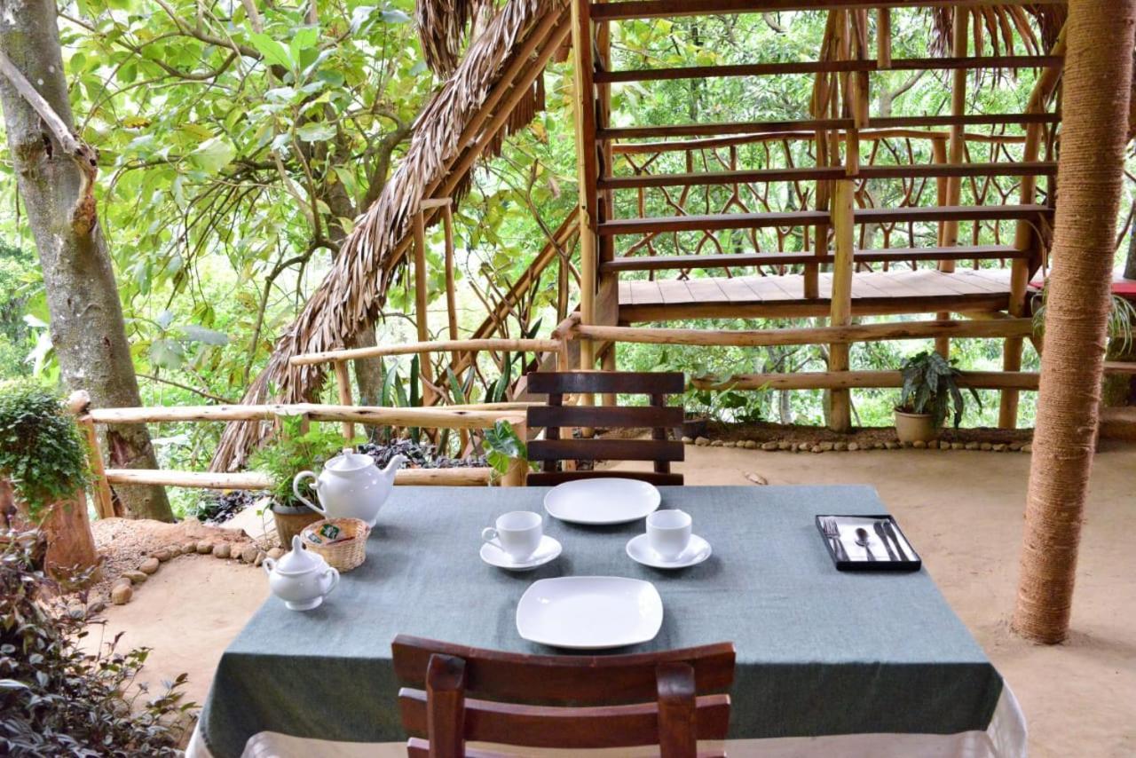 אלה Eco Village מראה חיצוני תמונה