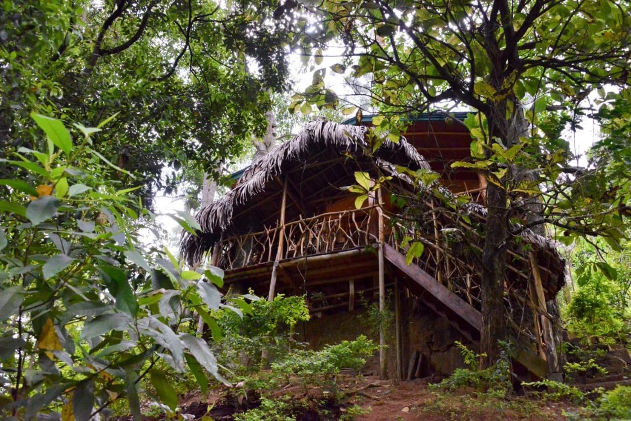 אלה Eco Village מראה חיצוני תמונה