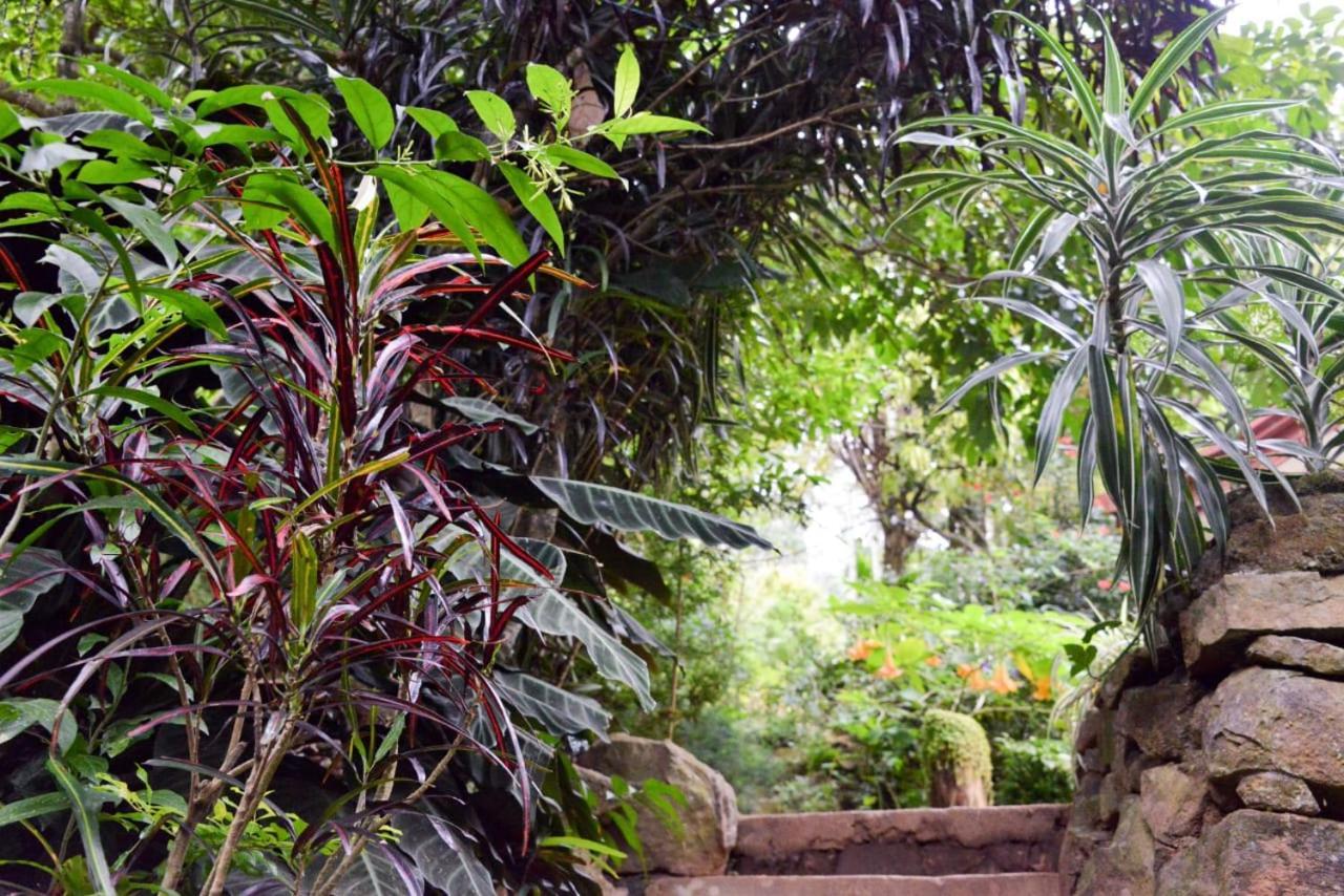 אלה Eco Village מראה חיצוני תמונה