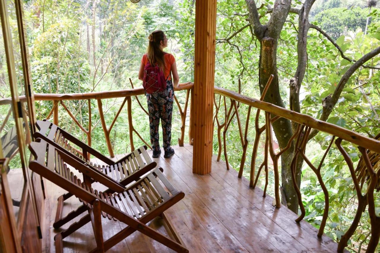 אלה Eco Village מראה חיצוני תמונה