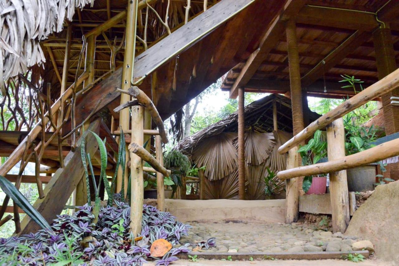 אלה Eco Village מראה חיצוני תמונה
