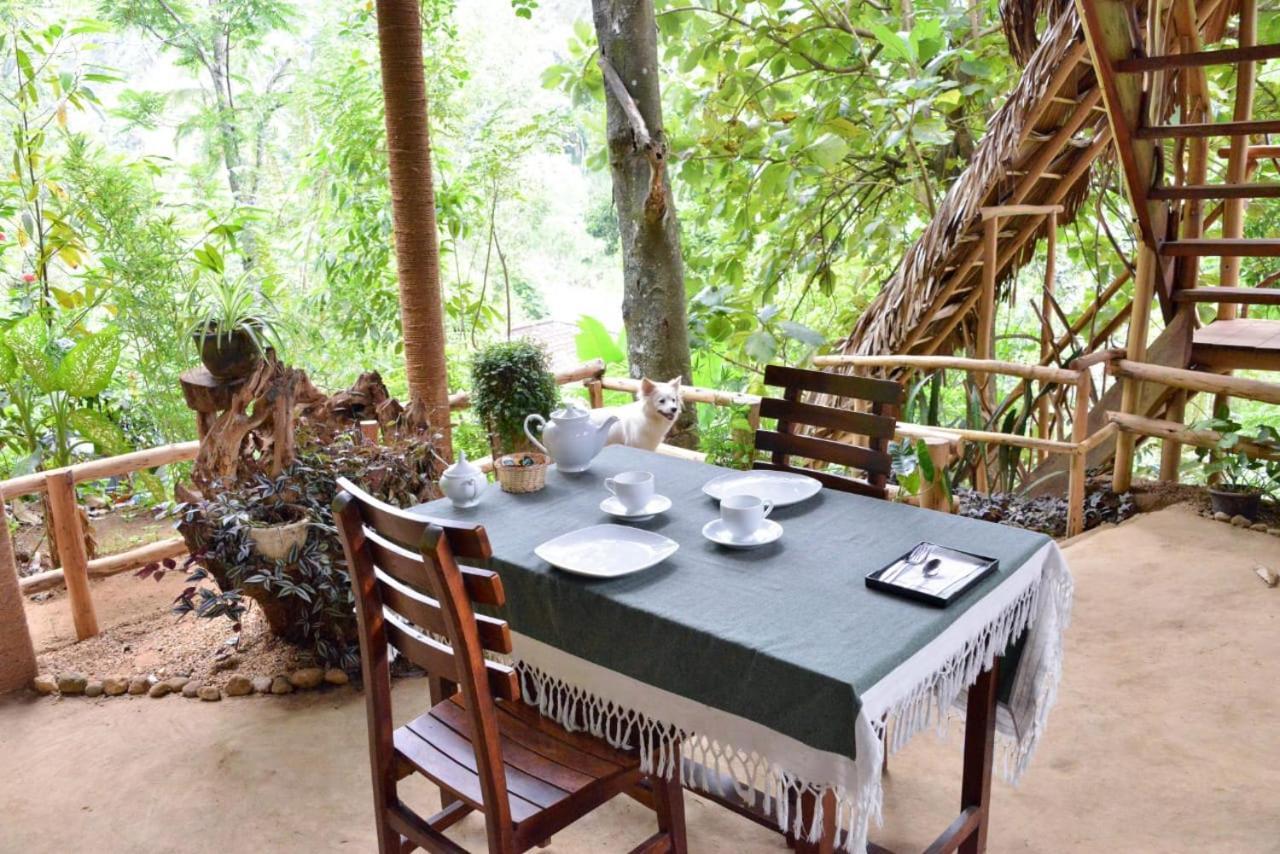 אלה Eco Village מראה חיצוני תמונה