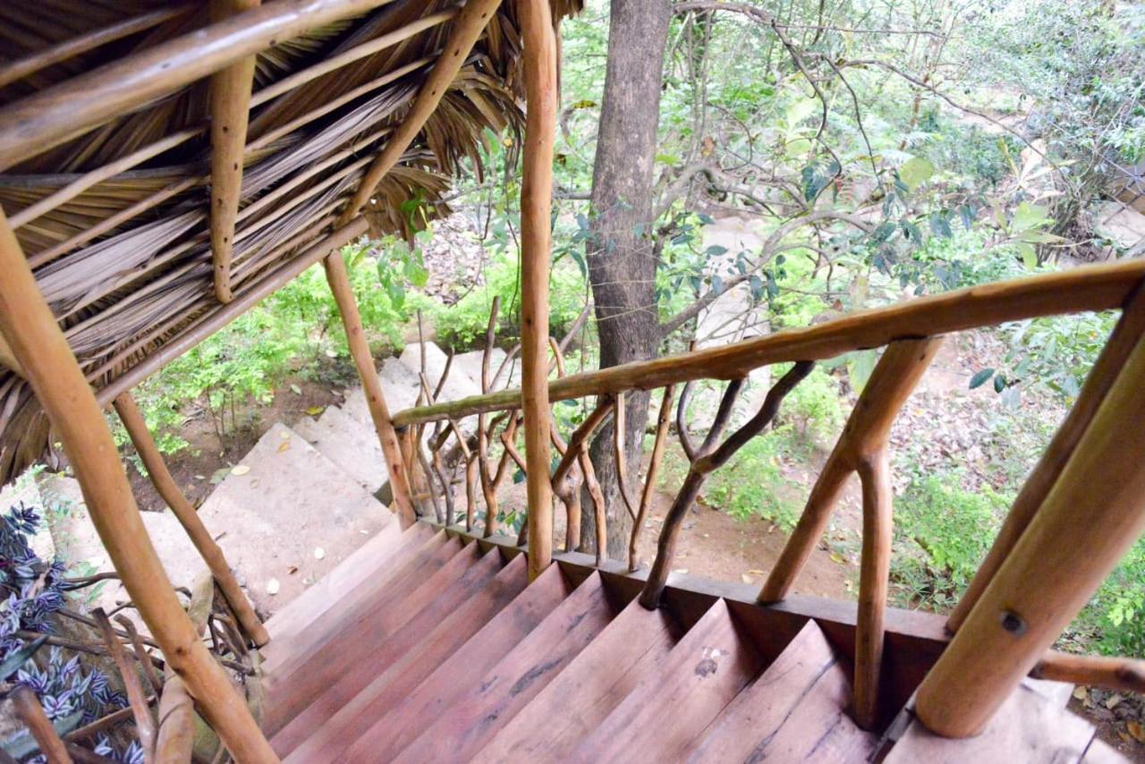 אלה Eco Village מראה חיצוני תמונה