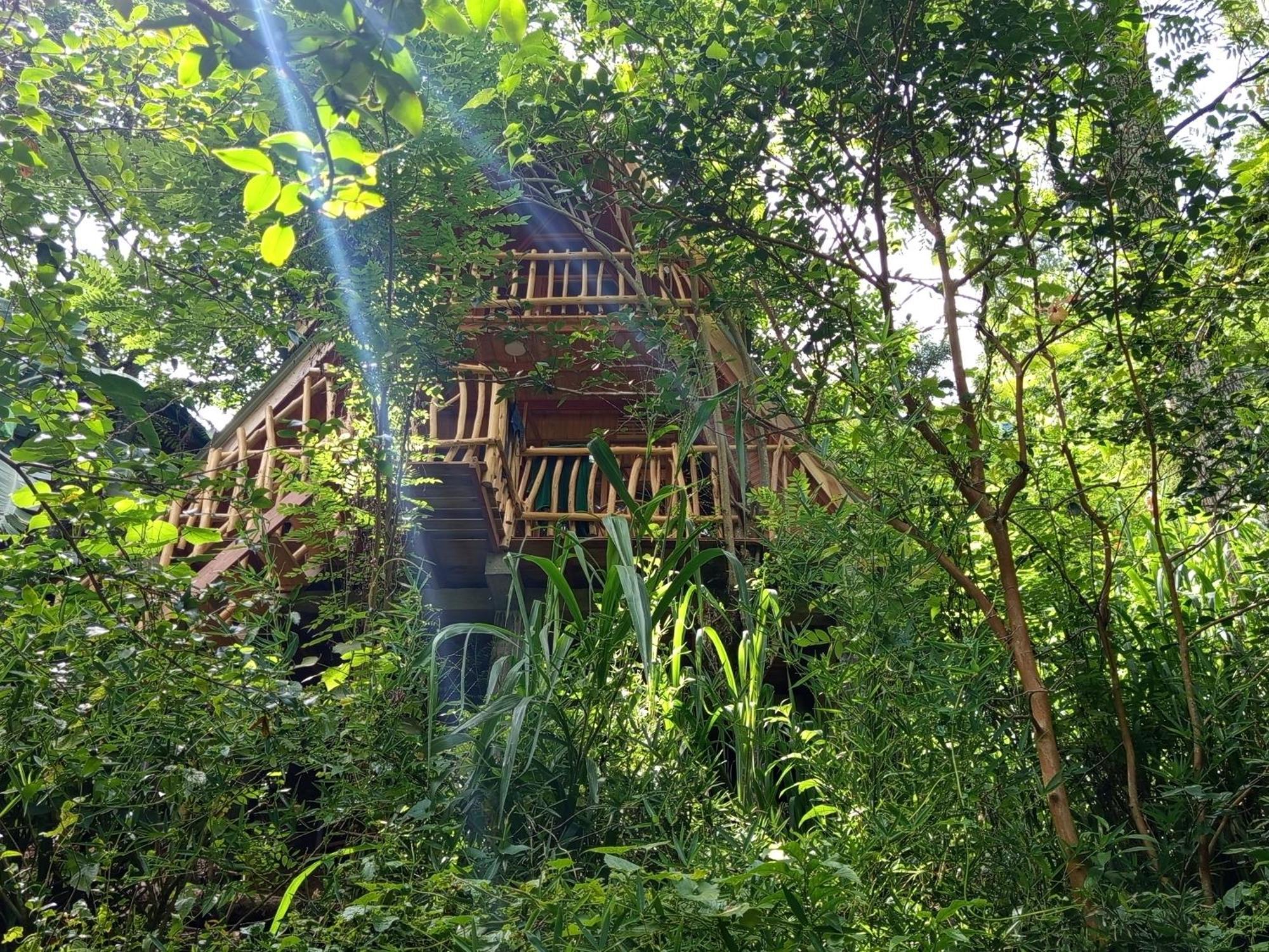 אלה Eco Village מראה חיצוני תמונה