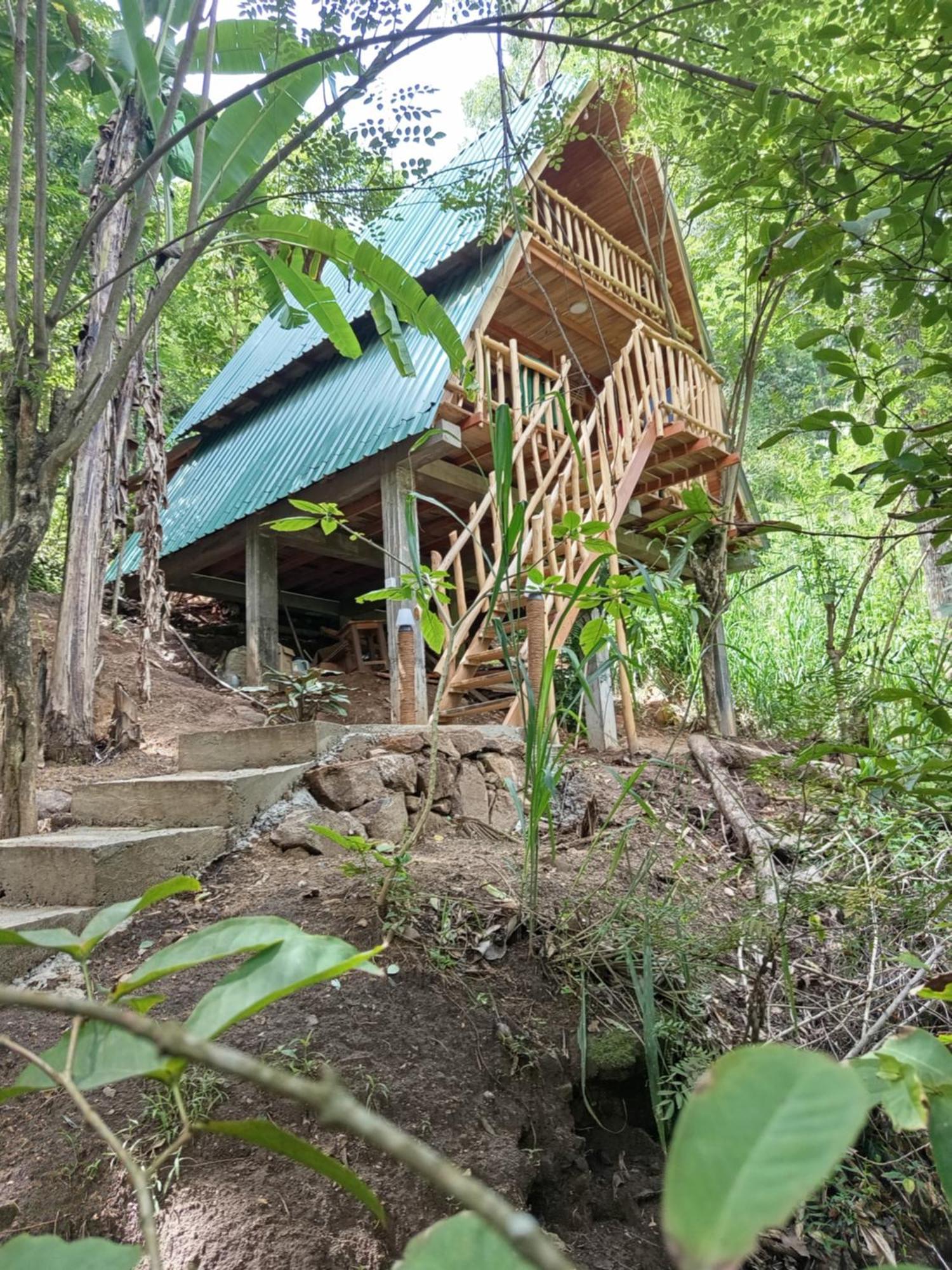 אלה Eco Village מראה חיצוני תמונה