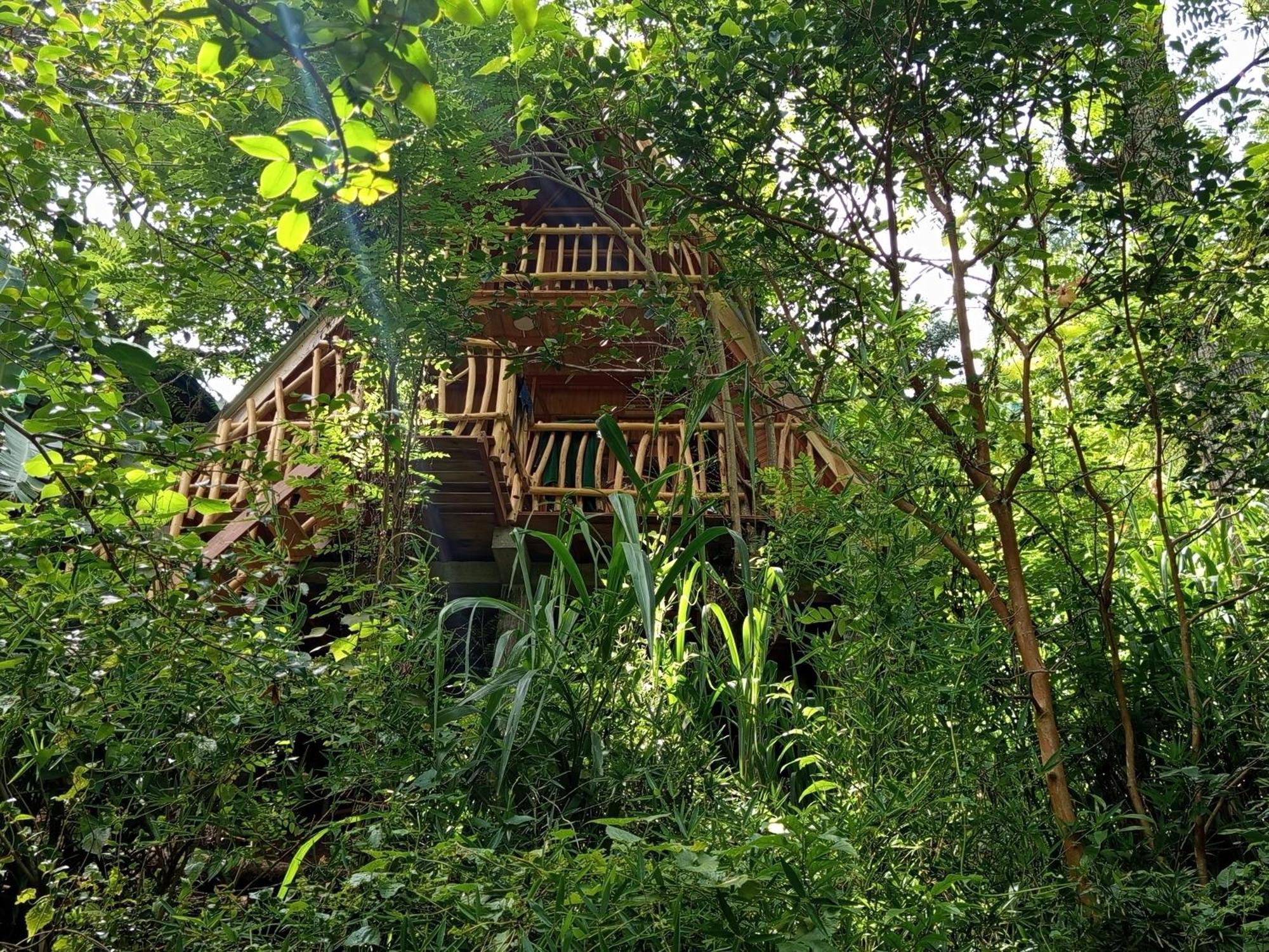 אלה Eco Village מראה חיצוני תמונה