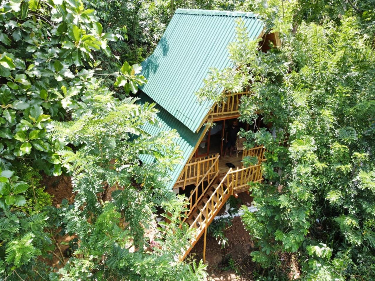 אלה Eco Village מראה חיצוני תמונה