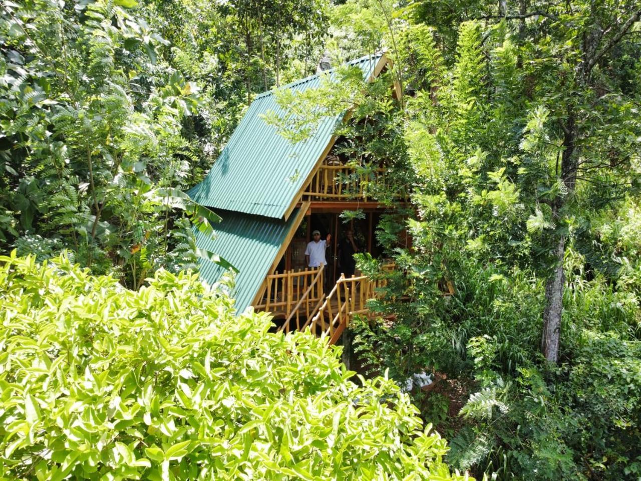 אלה Eco Village מראה חיצוני תמונה