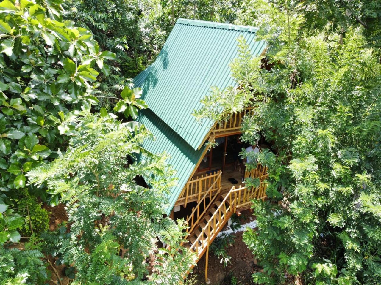 אלה Eco Village מראה חיצוני תמונה
