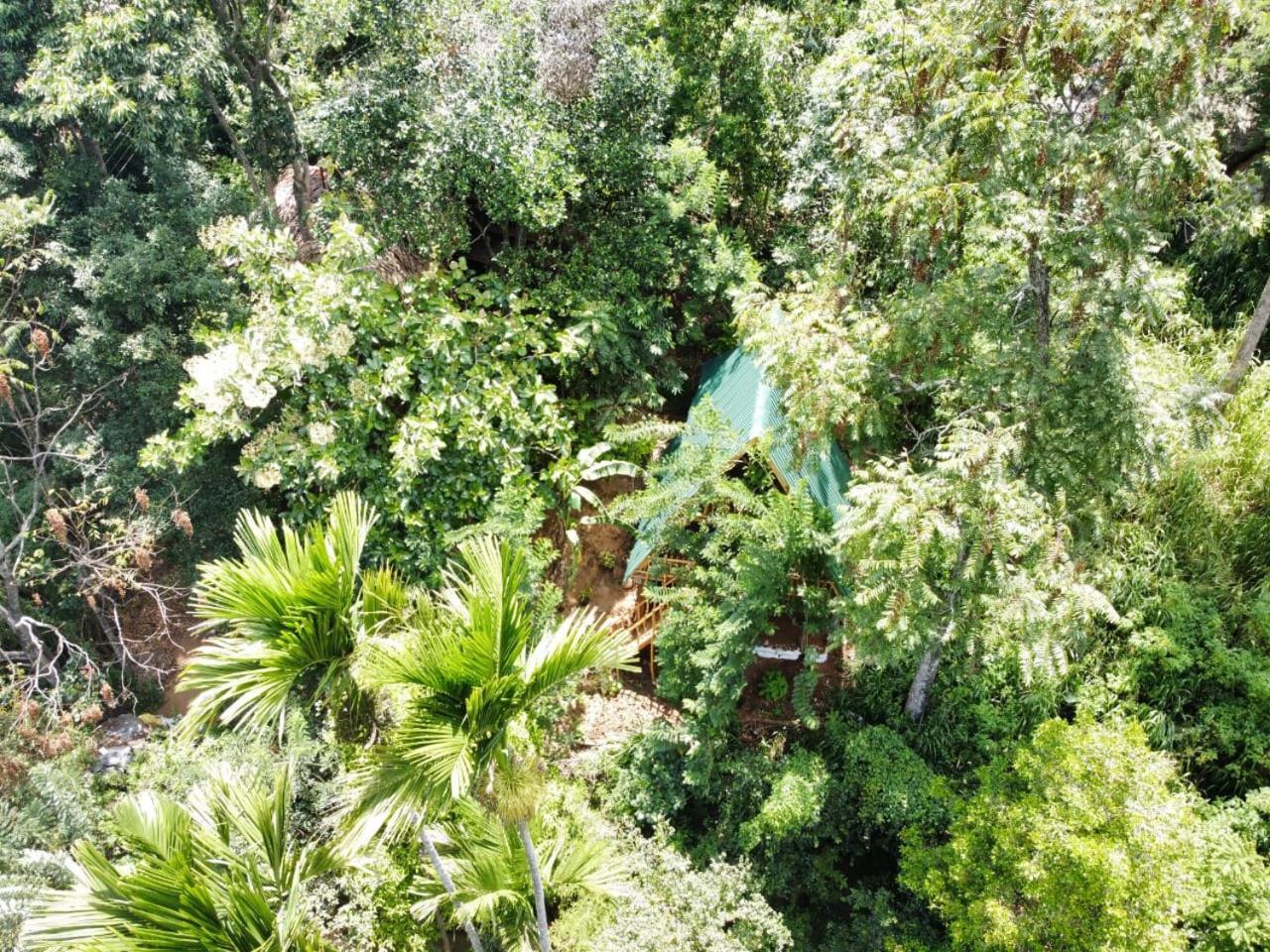 אלה Eco Village מראה חיצוני תמונה