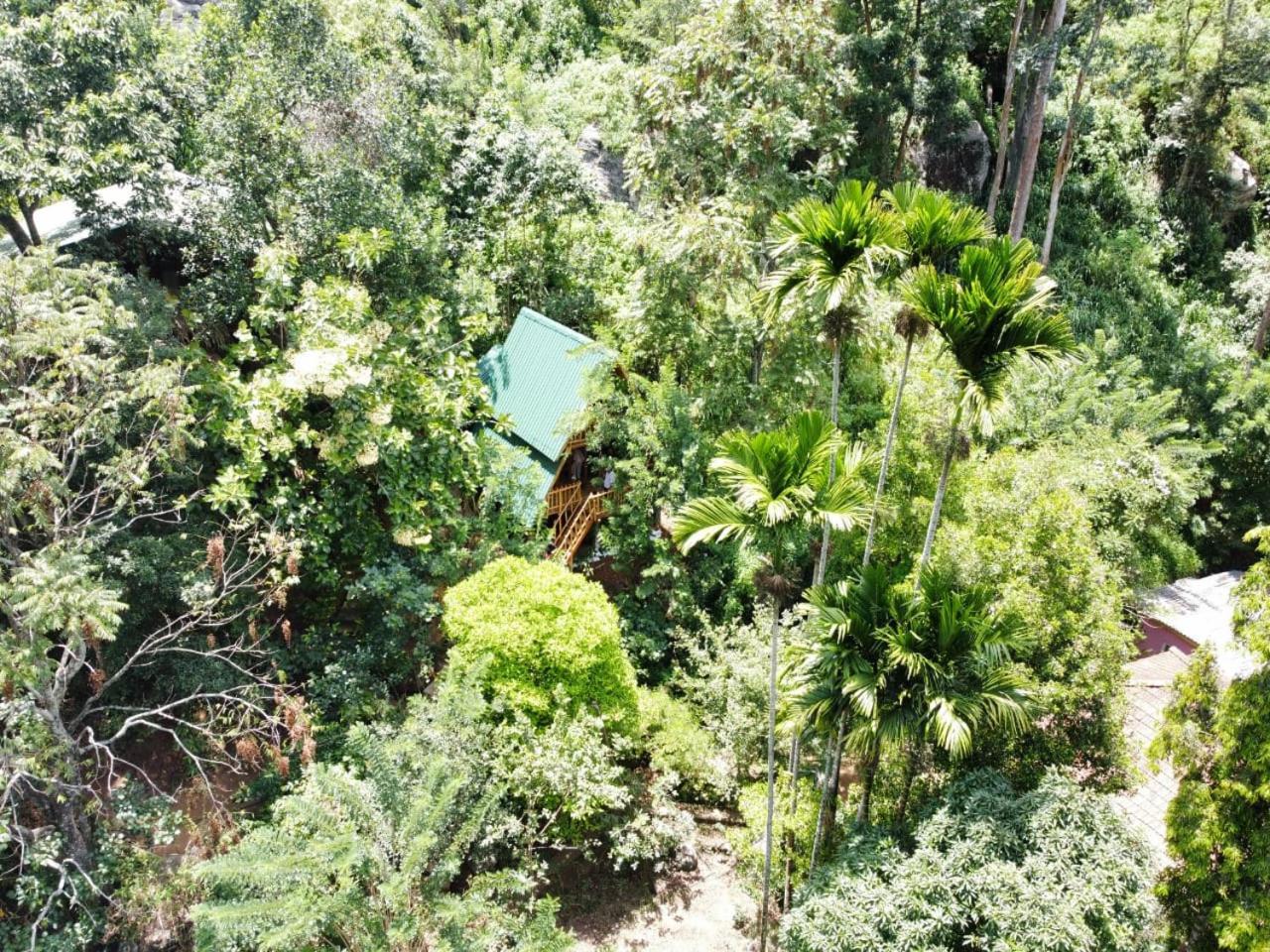 אלה Eco Village מראה חיצוני תמונה