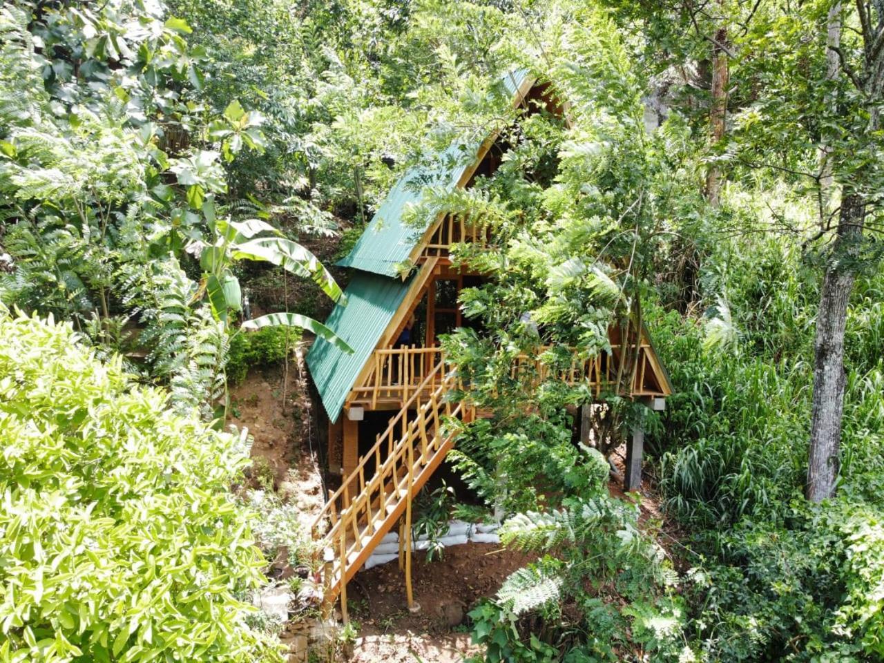 אלה Eco Village מראה חיצוני תמונה