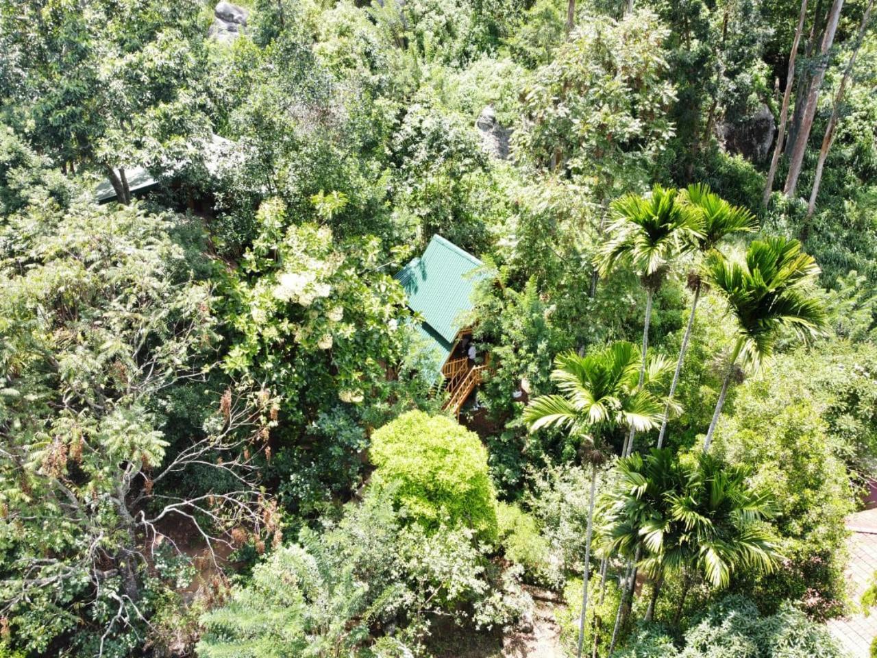 אלה Eco Village מראה חיצוני תמונה