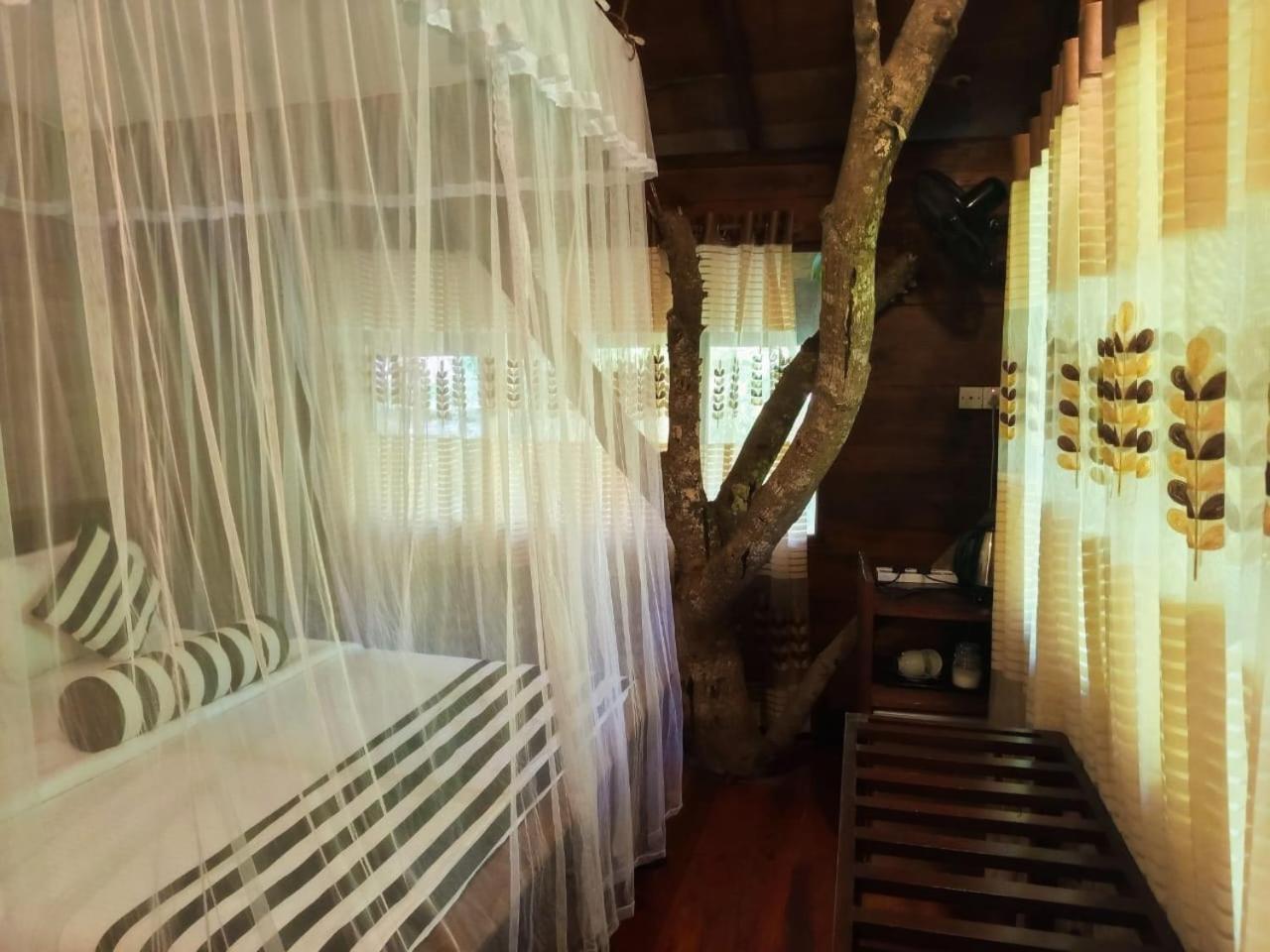 אלה Eco Village מראה חיצוני תמונה