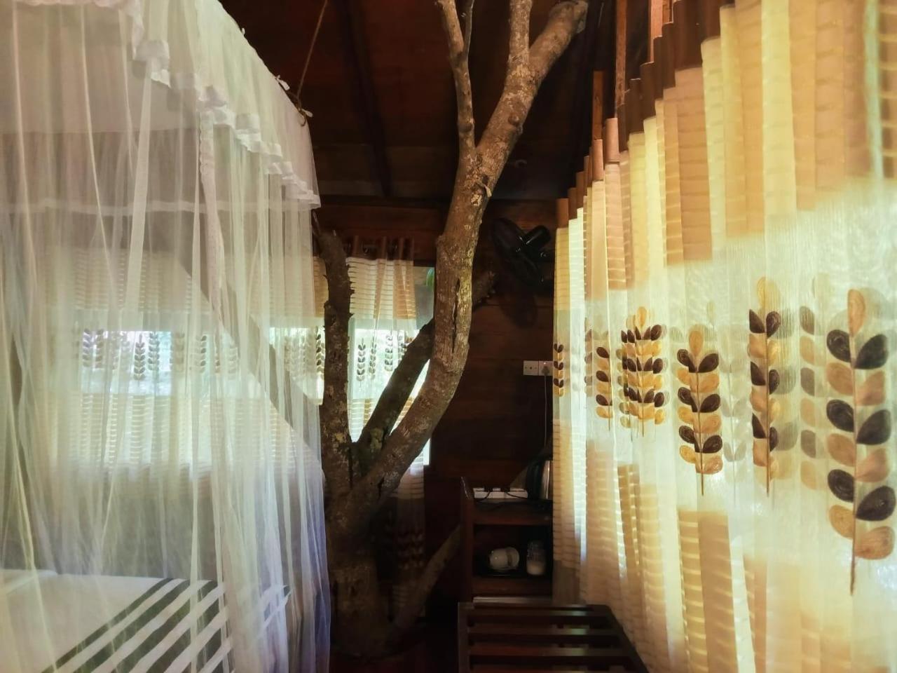 אלה Eco Village מראה חיצוני תמונה