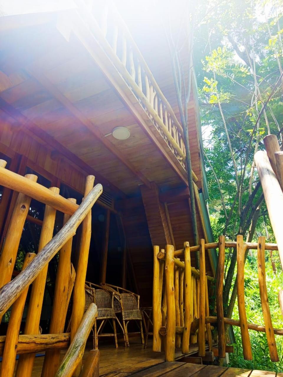 אלה Eco Village מראה חיצוני תמונה