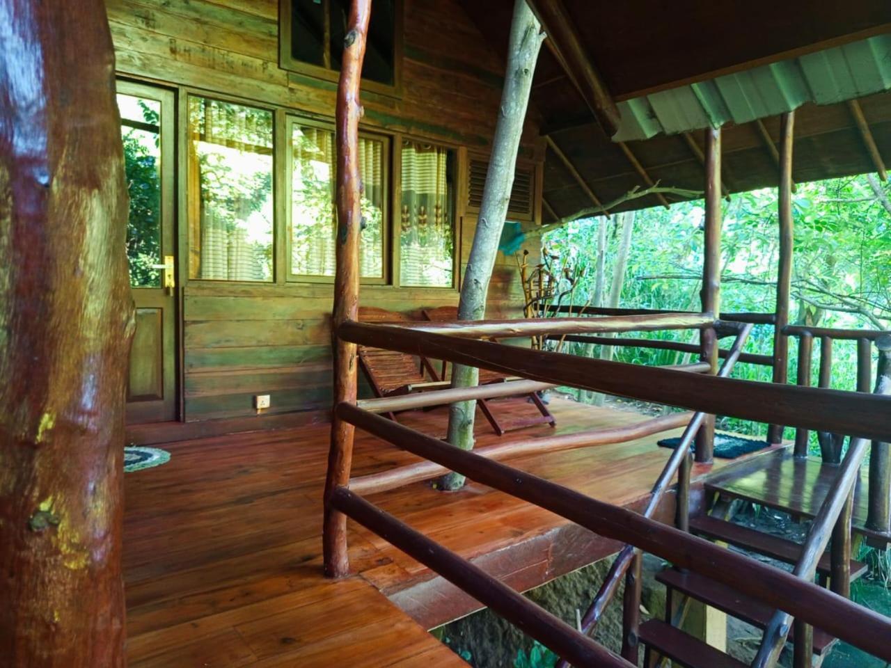 אלה Eco Village מראה חיצוני תמונה
