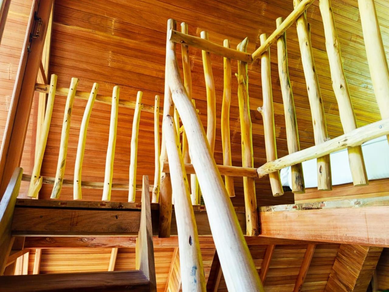 אלה Eco Village מראה חיצוני תמונה